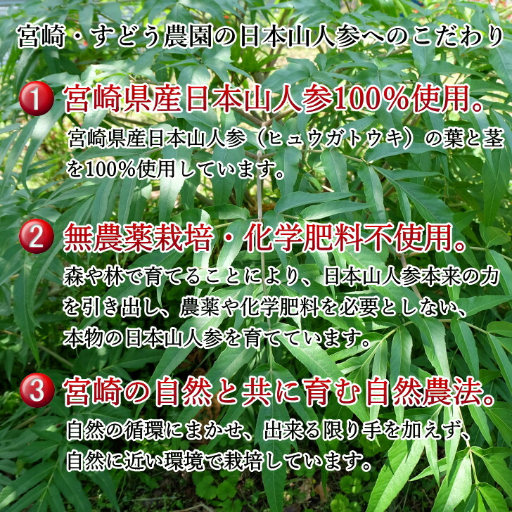最大81％オフ！ 日本山人参 サプリ ヒュウガトウキ 100％純粋粉末カプセル宮崎県 農家直送便