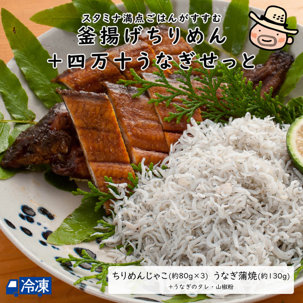 釜揚げちりめん＋四万十うなぎせっと しらす シラス 釜揚げ ちりめんじゃこ ちりめん チリメン じゃこ ご飯 国産 うなぎ ウナギ 鰻 蒲焼き 蒲焼 かばやき 高知 こうち 四万十 四万十川 しまんと グルメ ギフト 贈答用 【冷凍発送】画像