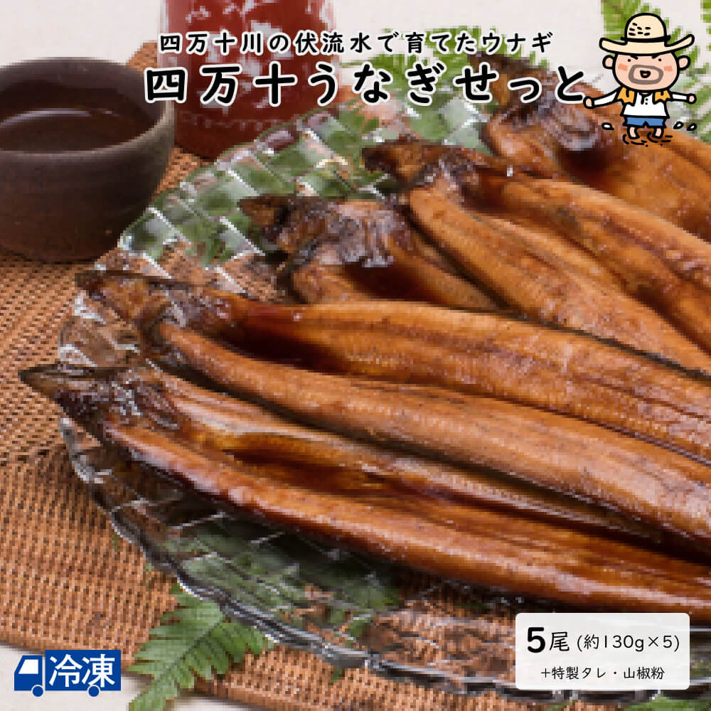 四万十うなぎせっと＜5尾＞ 国産 うなぎ ウナギ 鰻 蒲焼き 蒲焼 かばやき 高知 こうち 四万十 【送料無料】 【冷凍発送】｜土佐のグルメ　すえひろ屋 13,260円