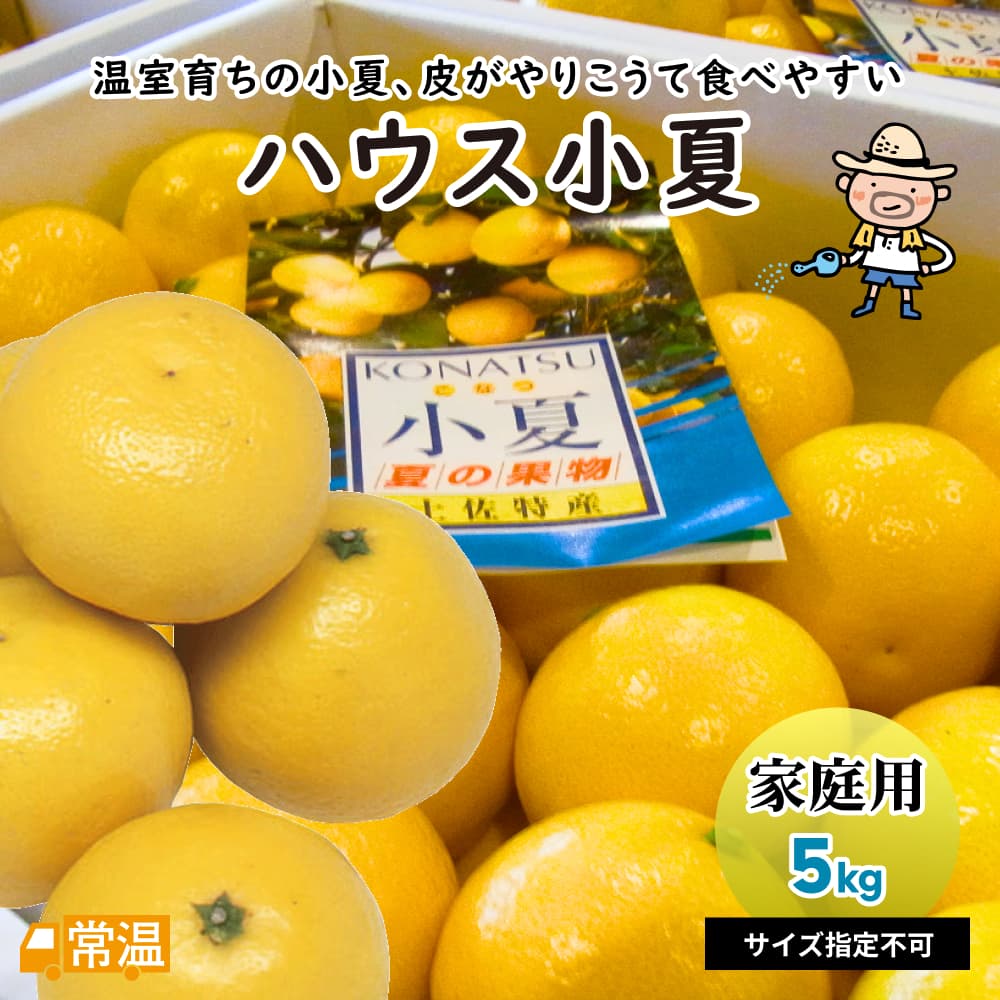 楽天市場】ハウス小夏 ギフト用 2.5kg 高知名物 小夏 日向夏