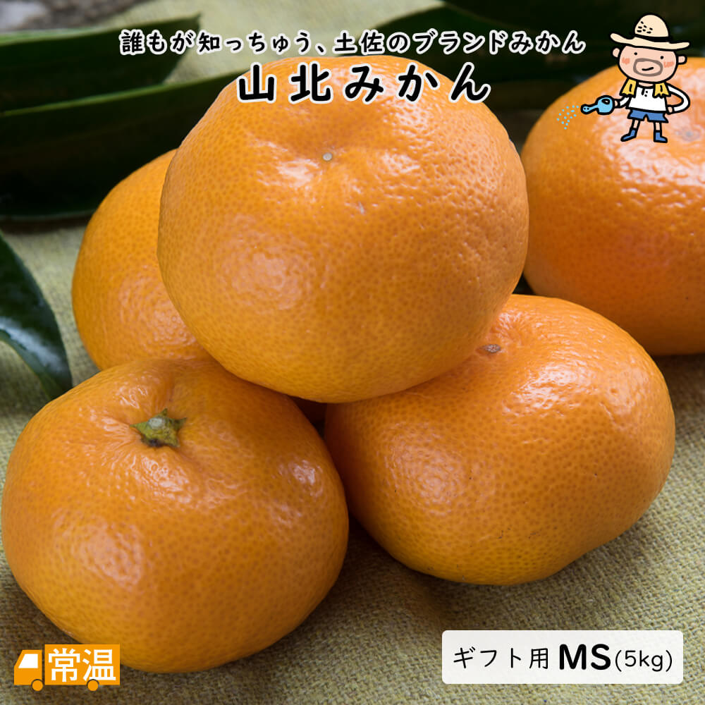 楽天市場】糖度15度越え！「菊みかん 木熟201 袋入 約1.2kg 12玉