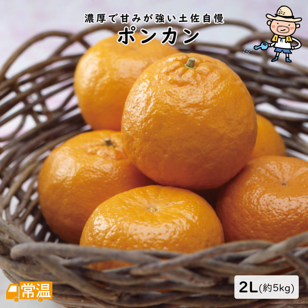 楽天市場】仏手柑 ぶしゅかん 5玉セット 高知産 土佐の酢みかん ご