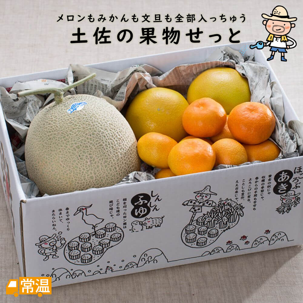 2024年分完売御礼 土佐の果物せっと（はちきん） 果物 くだもの セット メロン マスクメロン なハウス文旦 北海道・沖縄・離島などの一部の地域は追加送料発生