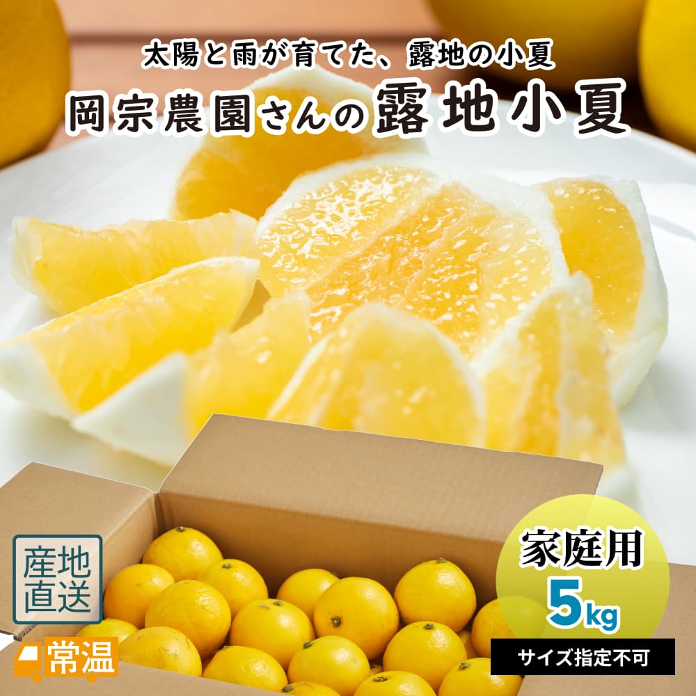【2026年7月上旬より順次発送】 岡宗農園さんの露地小夏 家庭用 5kg 【同梱不可】 小夏 こなつ コナツ 日向夏 ニューサマーオレンジ 土佐小夏 みかん 夏 温室 柑橘 【送料無料】 【同梱不可】