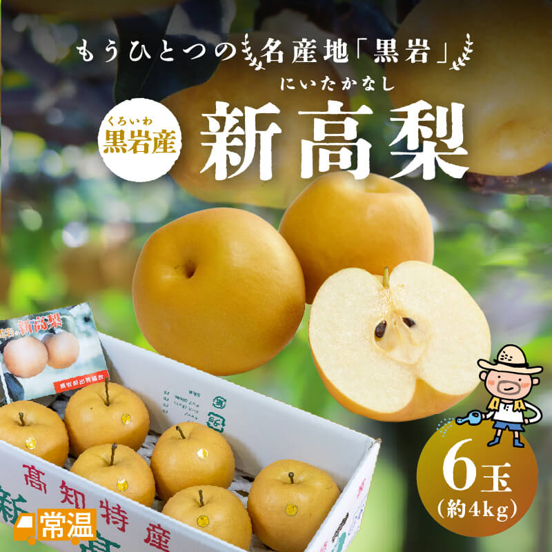 2024年分完売御礼【発送時期：10月上旬～10月15日頃】 黒岩産新高梨6玉入(約4kg) 新高梨 梨 黒岩 土佐 高知 国産 【送料無料】 北海道・沖縄・離島などの一部の地域は追加送料発生