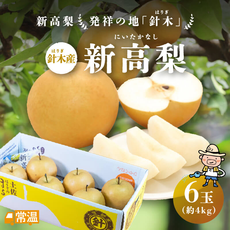 2024年分完売御礼【発送時期：10月上旬～10月15日頃】 針木産新高梨6玉入(約4kg) 新高梨 梨 針木 土佐 高知 国産 【送料無料】 北海道・沖縄・離島などの一部の地域は追加送料発生
