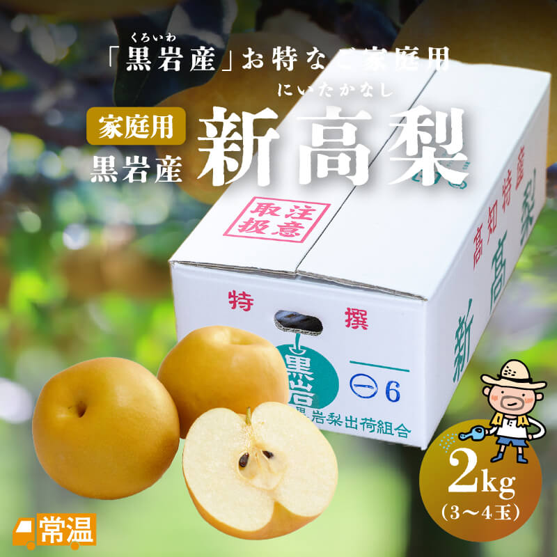 2024年分完売御礼【発送時期：10月上旬～10月15日頃】 黒岩産新高梨（約2kg、3～4玉入） 【ご家庭用】 新高梨 梨 家庭用 訳アリ 黒岩 土佐 【送料無料】 北海道・沖縄・離島などの一部の地域は追加送料発生