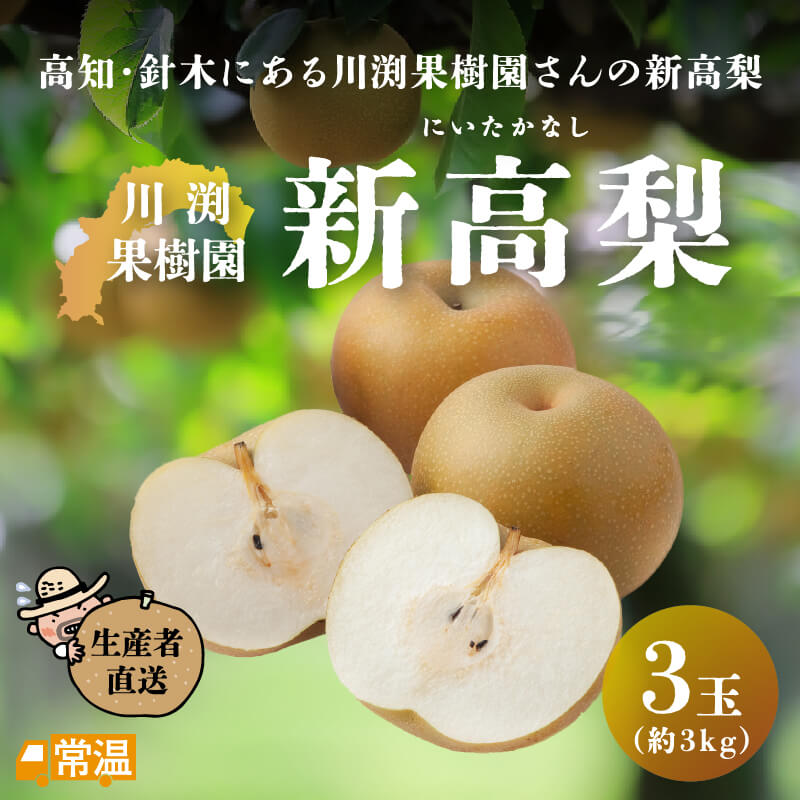 【2024年度の販売はありません】 川渕果樹園　新高梨　3玉入（約3kg） 新高梨 梨 川渕果樹園 たこ足栽培 有機栽培 針木 【送料無料】 北海道・沖縄・離島などの一部の地域は追加送料発生