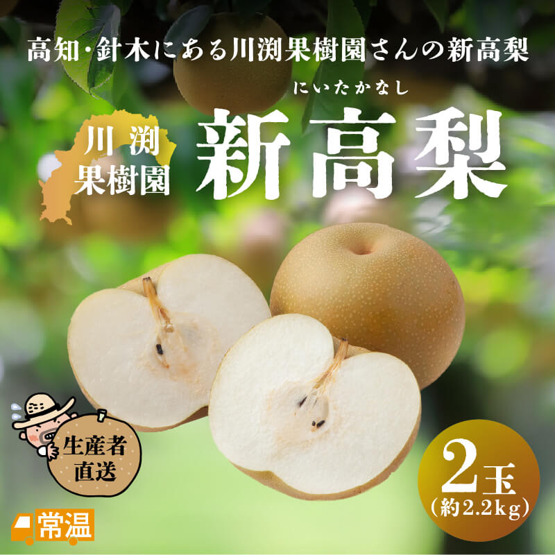 2024年分完売御礼【発送時期：9月下旬～10月20日頃】 川渕果樹園　新高梨(約2.2kg・2玉入） 新高梨 梨 川渕果樹園 たこ足栽培 有機栽培 針木 【送料無料】 北海道・沖縄・離島などの一部の地域は追加送料発生