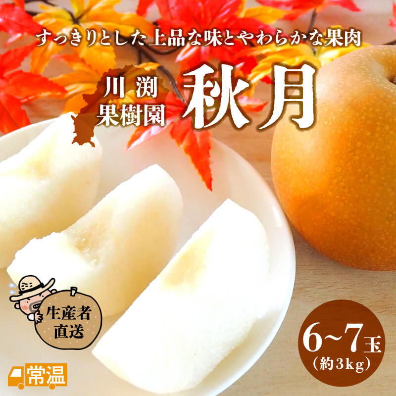 2024年分完売御礼 【発送時期：9月中旬～10月上旬頃】 川渕果樹園　秋月　6～7玉（約3kg） 梨 秋月 川渕果樹園 たこ足栽培 有機栽培 針木 【送料無料】 北海道・沖縄・離島などの一部の地域は追加送料発生