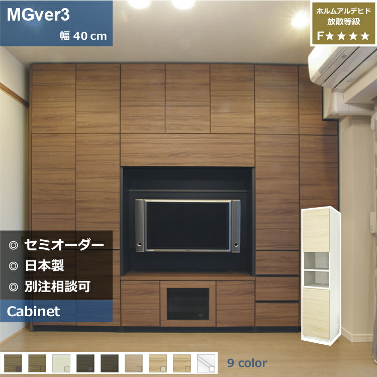 楽天市場】壁面収納 FW D32/47 120-FSTV テレビ台 つっぱり 本棚