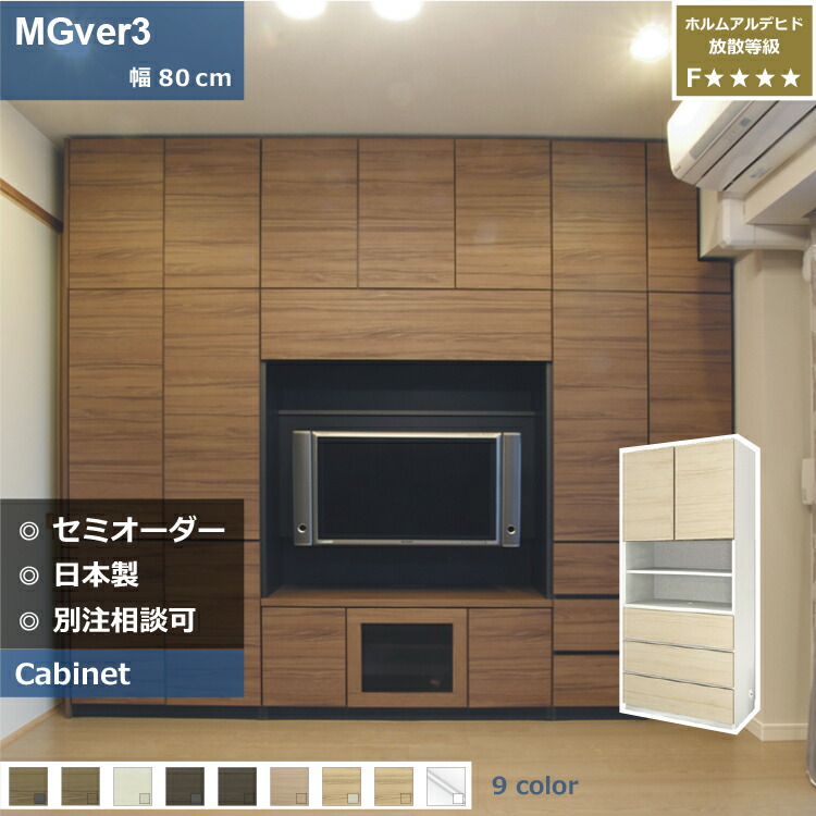 楽天市場】壁面収納 FW D32/47 160-FVTV テレビ台 つっぱり 本棚