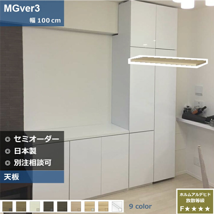 壁面収納 FW D32/47 TE100 テレビ台 つっぱり 本棚 デスク TVボード 収納棚 食器棚 転倒防止 収納 日本製 セミオーダー リフォーム 家具 パームループ すえ木工|壁面収納ーLuumu suemokko online