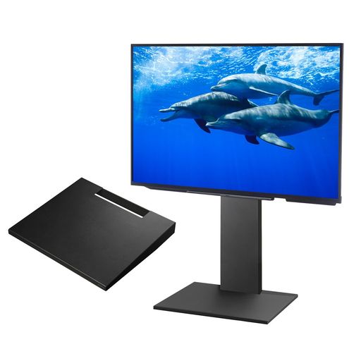 EQUALS イコールズ テレビ受像機台 壁寄せテレビ受像機照明ランプ WALL V2 置き目印字機 (2020模範例) +棚板ラージサイズセット 32型～60型相応う 繻子黒いこと (棚板:繻子黒いこと)