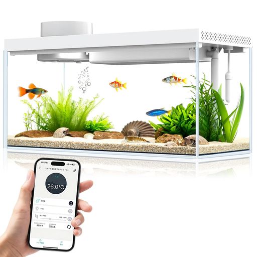 小型スマート水槽 デスクトップ水槽キット5L ガラス製アクアリウム コンパクト 自動給餌器、RGBライト水温モニター搭載 - ベタ・グッピー対応セルフクリーニングフィルター システム (VSO&hellip;｜シュガーライトSTORE