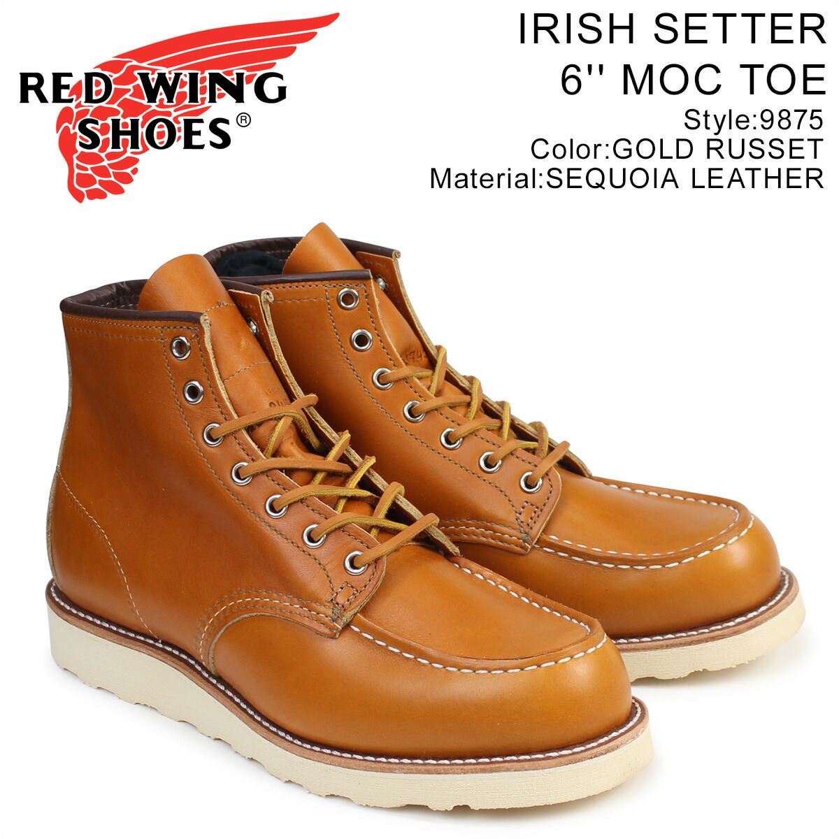 irish setter 9875