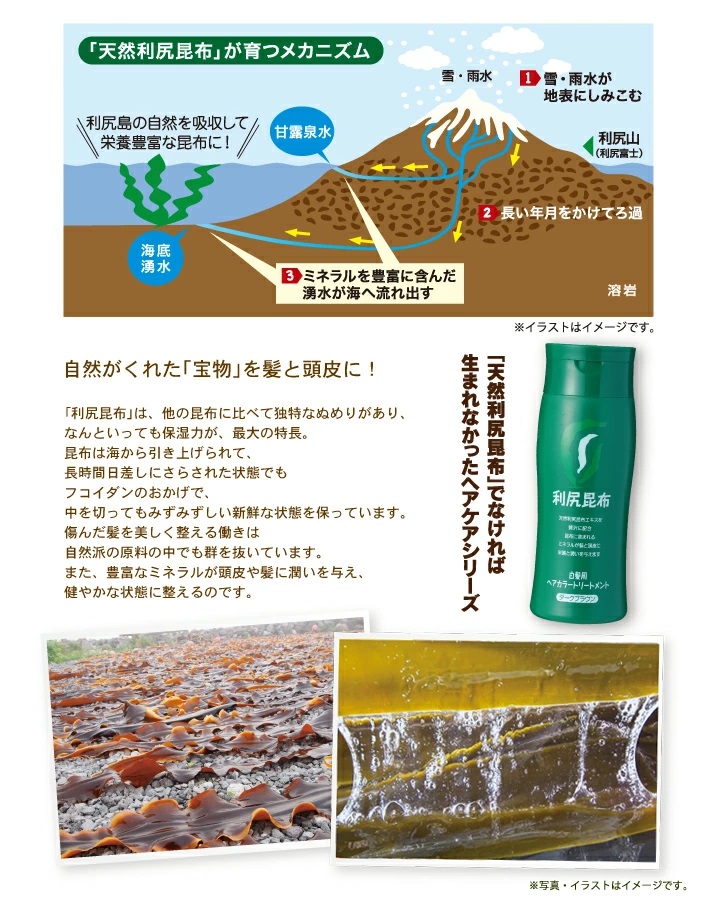 再再販 2本セット 送料無料 利尻 ヘアカラートリートメント ブラック 0ml 2セット 白髪染め ブラウン 白髪 ヘア 髪 保湿 サロン カラーキープ しらが染め 白髪 黒色 ブラック トリートメント 女性用 男性用 美容 人気 ランキング 補修 サロン おしゃれ 敬老の