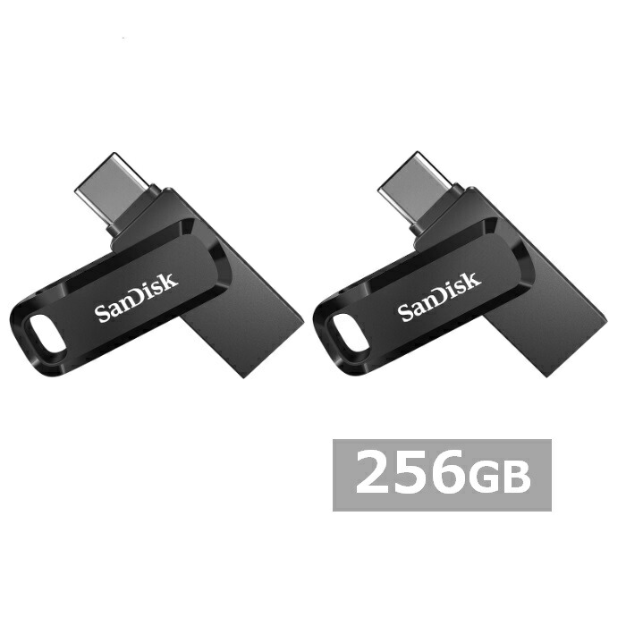 【2セット】 サンディスク USBメモリ SDDDC3-256G-G46 Ultra Dual Drive Go USB Type-C 256GB Sandisk iPhone iPad Android USB Type-C USBメモリー メモリスティック 外出 パソコン PC 持ち運び 並行輸入品