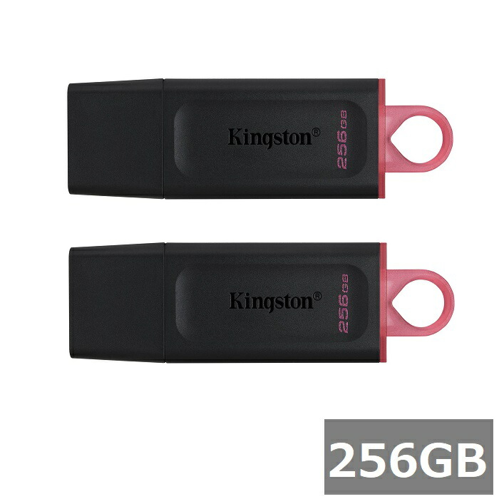 【2仕掛ける】 キングストン USB記憶装置 DTX/256GB DataTraveler Exodia 256GB Kingston USB閃光電球運転 USB3.2 パソコン マイコン 検面調書 快い音 映像媒体 並行輸入品
