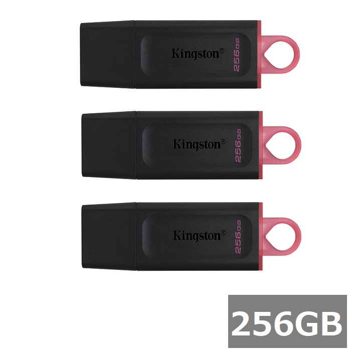 【2仕掛ける】 キングストン USB記憶装置 DTX/256GB DataTraveler Exodia 256GB Kingston USB閃光電球運転 USB3.2 パソコン マイコン 検面調書 快い音 映像媒体 並行輸入品