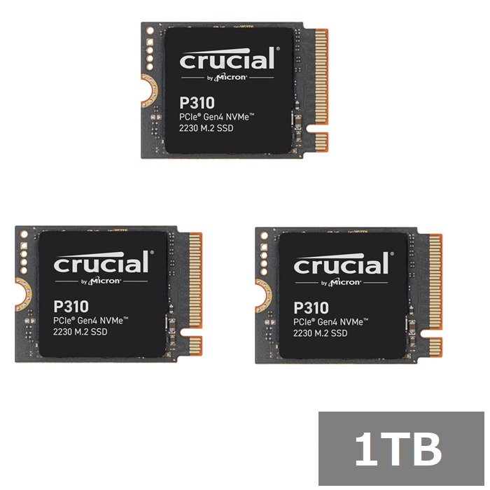 【3仕掛ける】 クルーシャル SSD 1肺結核 P310 CT1000P310SSD2 Crucial M.2 NVMe 取り組み 万覚え帳マイコン 万覚え帳パソコン 並行輸入品