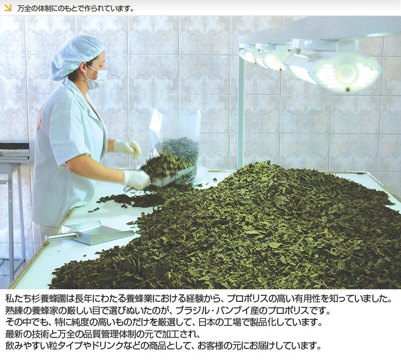 Sugi Bee Garden Rakuten Ichiba Store Propolis Gold sugi bee garden rakuten ichiba store propolis gold