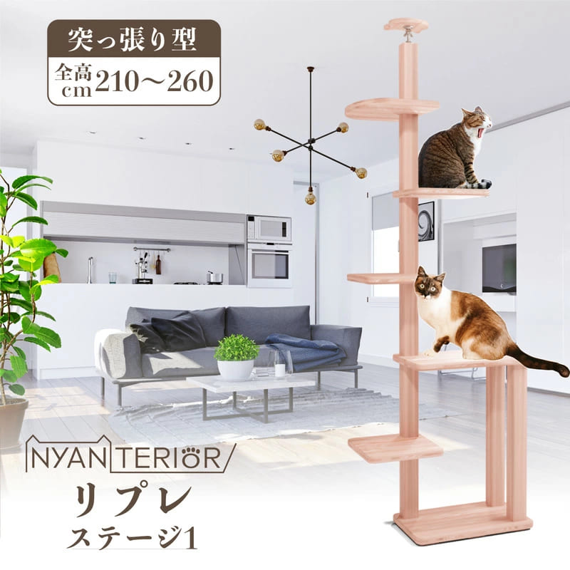 TBSねこ自慢で紹介 キャットタワー ニャンテリア 【リプレ ステージ１】全高210-260cm スリム コンパクト 天然木製 天日乾燥杉 最適pHバランス 森林浴 健康予防 フィトンチッド 消臭 抗菌 多頭飼い 爪とぎ 木登り 杉にゃん 高強度 高耐久 一生使える