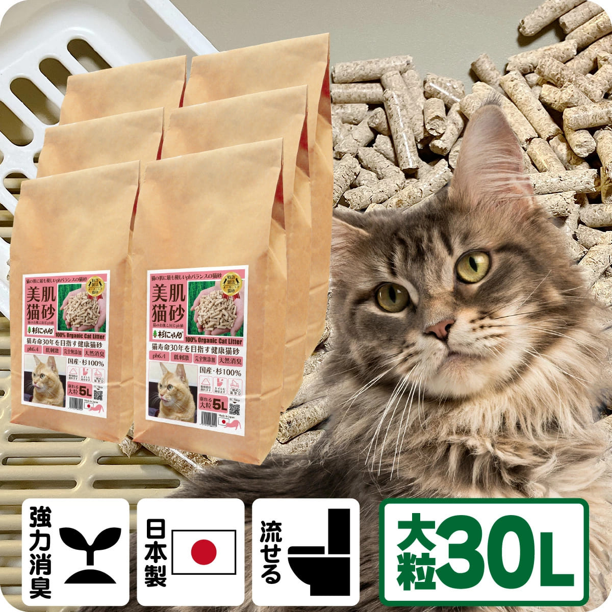 TV媒体で引き合わせる 消臭 オーガニック 猫砂 【杉にゃん大粒 30L】 猫肌と同じpH平衡にする 感じやすい肌 関所役立つことを守る 人はだ世話をする ph6.4 肌願望すること 木製 杉100％ 気取らない原料品 物のみごとに無付け加える 思わしい止めること 誤食も安全性のある 生腐蝕 肥やし化 固まらない 流せる 抗菌 抗燻す 国産