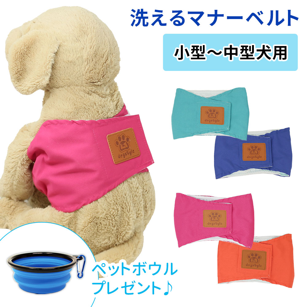 マナーベルト 4サイズ 犬 オス おむつ 洗える かわいい 洗濯 ペット 男の子 小型犬 中型犬 小型 中型 しつけ おしっこ マナーウェア マナー ズレ防止 散歩 高齢犬 介護用 シニア犬 蒸れない マナーバンド マナーパンツ ドッグウェア 犬の服 Tn Mbdg 訳あり商品