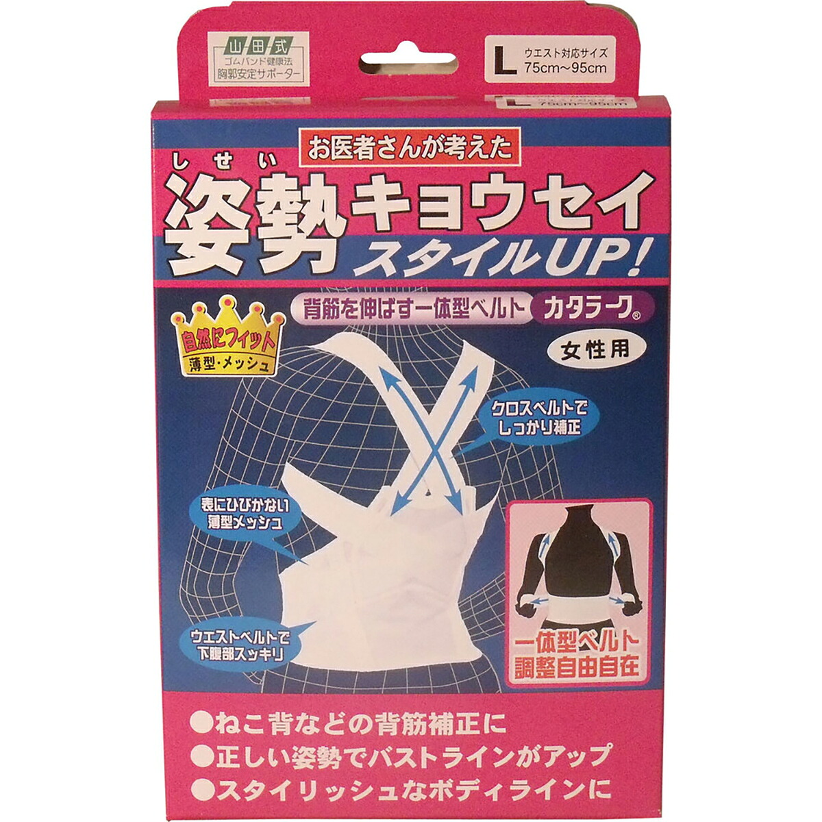【 まとめ買い10個書き割り 】 身のこなし更生させる三尺帯 カタラーク 亭主もち用 L大きさ 【 貨物輸送無料 】
