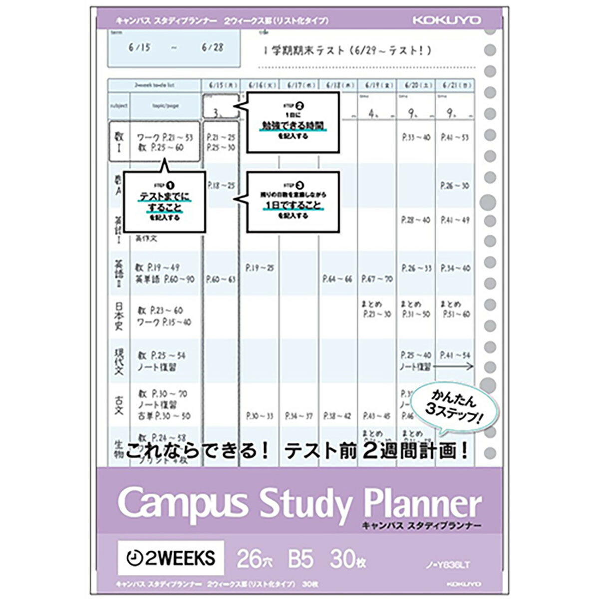 最大89％オフ！ まとめ ルーズリーフ 書きやすいルーズリーフミニ メモリ入6mm罫 9穴 カラーアソート 90枚 L1431-99 fucoa.cl