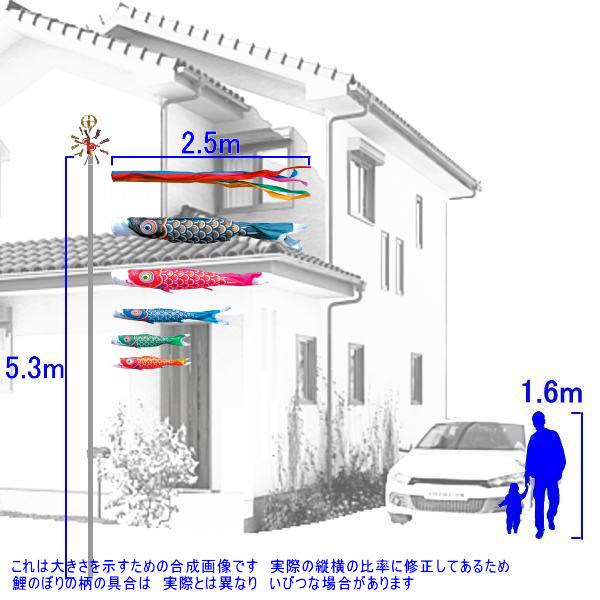 ゴールド鯉 徳永鯉 シンプル 庭園用ガーデン 五色吹流し 高田卸方屋鯉のぼり こいのぼり 掛け軸 とくなが 鯉のぼり ２ ５ｍ５匹 鯉のぼり 鯉幟 徳永