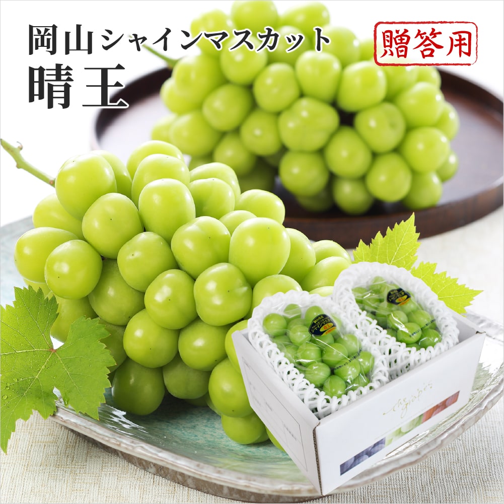 2025 お中元 岡山県特産 シャインマスカット 晴王 青秀品 約500g×2房 化粧箱入り ぶどう ブドウ 葡萄 フルーツ ギフト プレゼント 7月上旬頃より発送