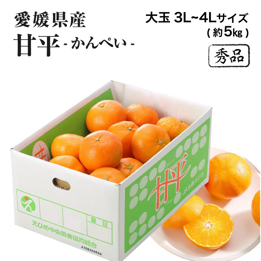 楽天市場】愛媛県産 甘平 かんぺい 匠と極 L〜3L 5玉〜9玉入 約1.5kg
