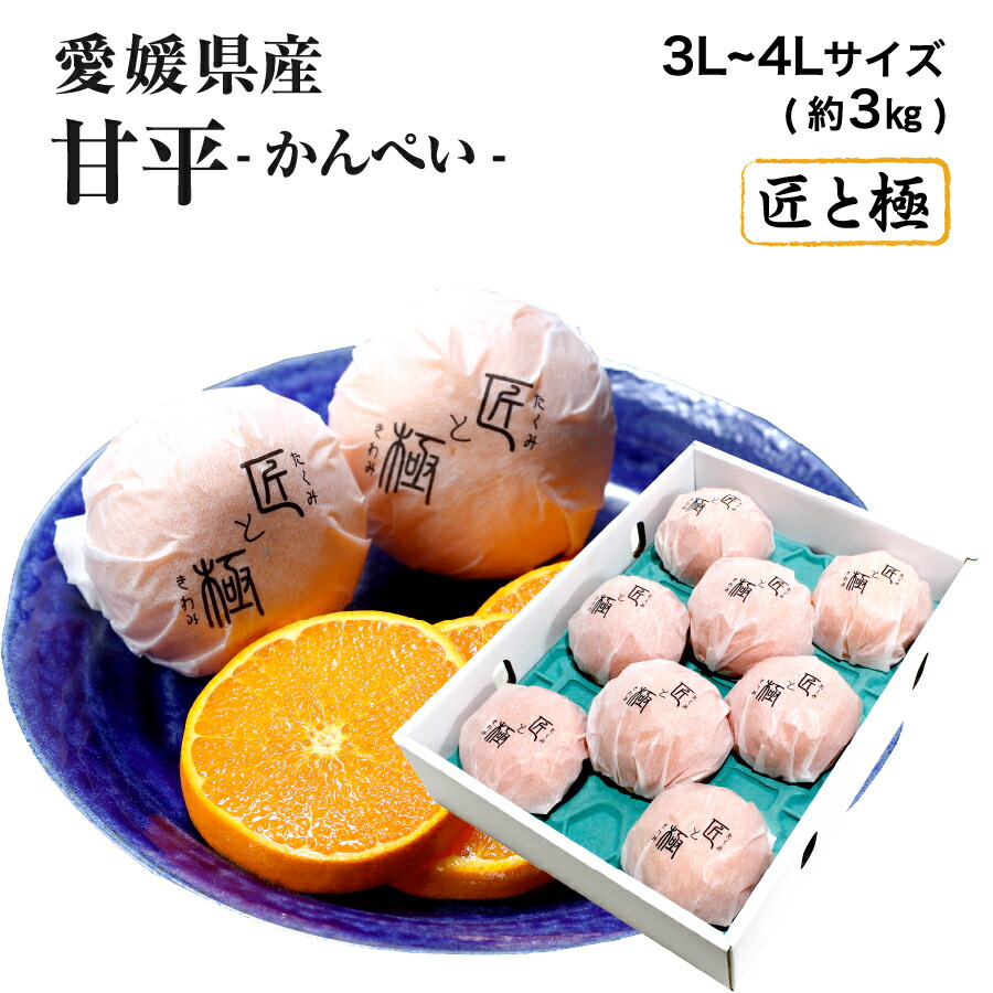 楽天市場】愛媛県産 甘平 かんぺい 匠と極 L〜3L 5玉〜9玉入 約1.5kg