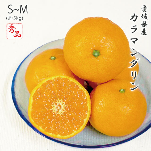 楽天市場】カラマンダリン 秀品 L〜3Lサイズ 約5kg 愛媛県