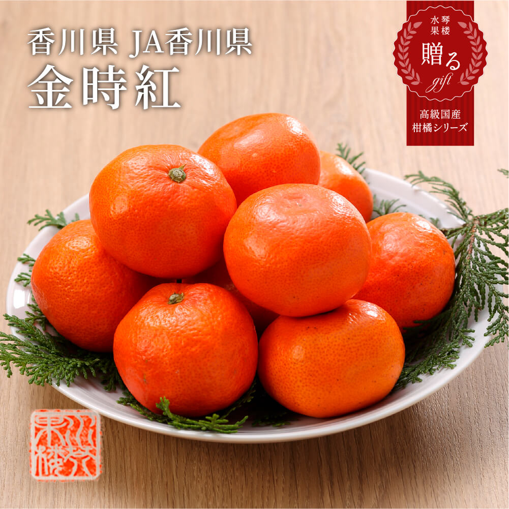 2024 お歳暮 ギフト 金時紅みかん 秀品 L～2Lサイズ 5kg 香川県産 化粧箱入り みかん ミカン フルーツ 12月上旬頃より発送