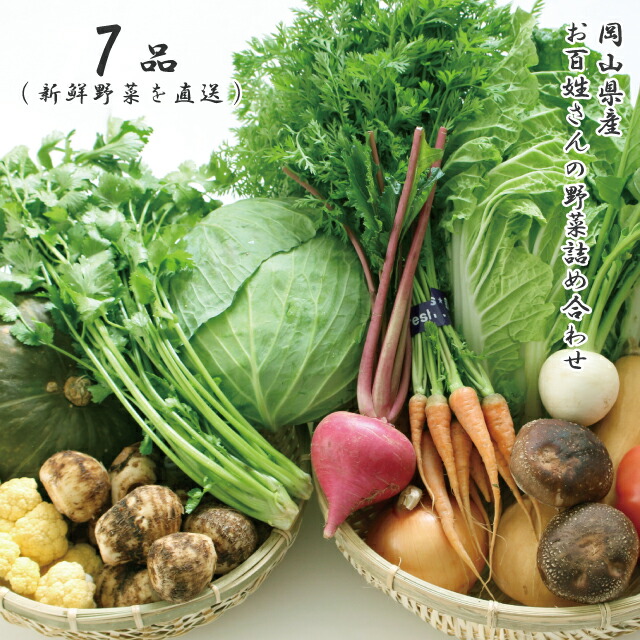 朝採れ 岡山県産 お百姓さんの厳選野菜詰め合わせ 7品 新鮮野菜