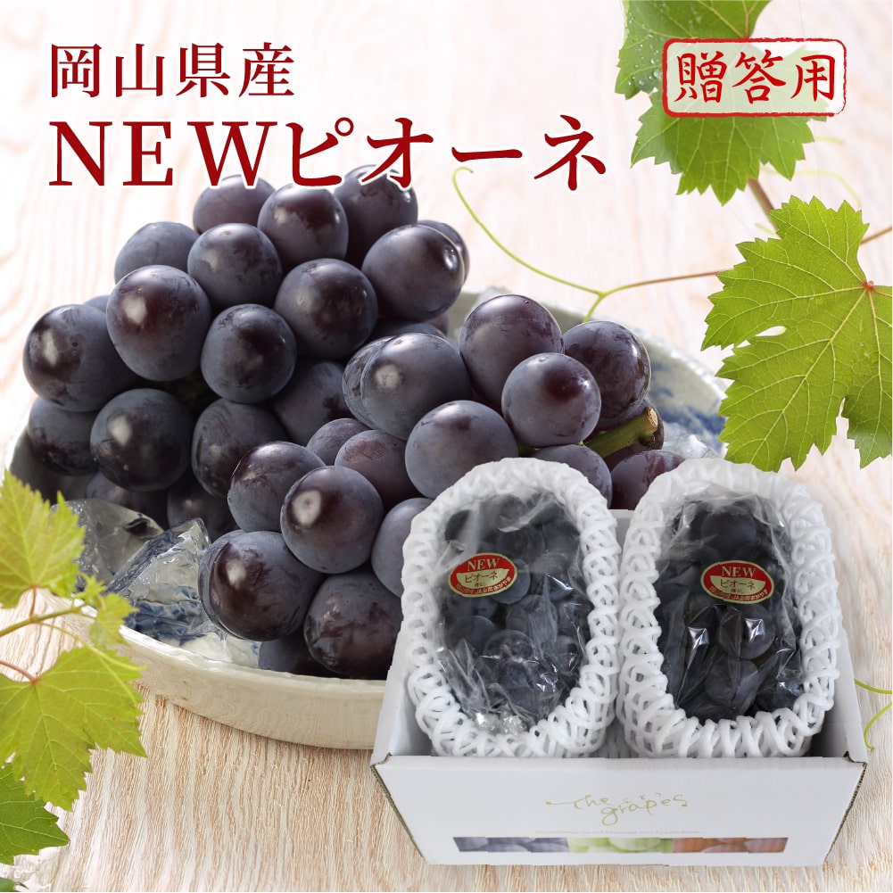 岡山県産 ニューピオーネ 2房 岡山県産 【大房】ニューピオーネ 2房（1.2kg以上）｜岡山名物