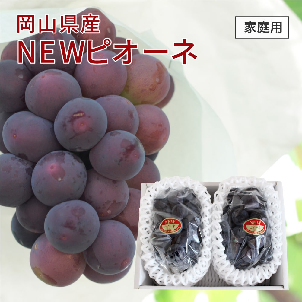 岡山県産　ニューピオーネ6房　1房約600g前後 ニューピオーネ 2房詰 （7月下旬頃～8月中旬発送）【お中元