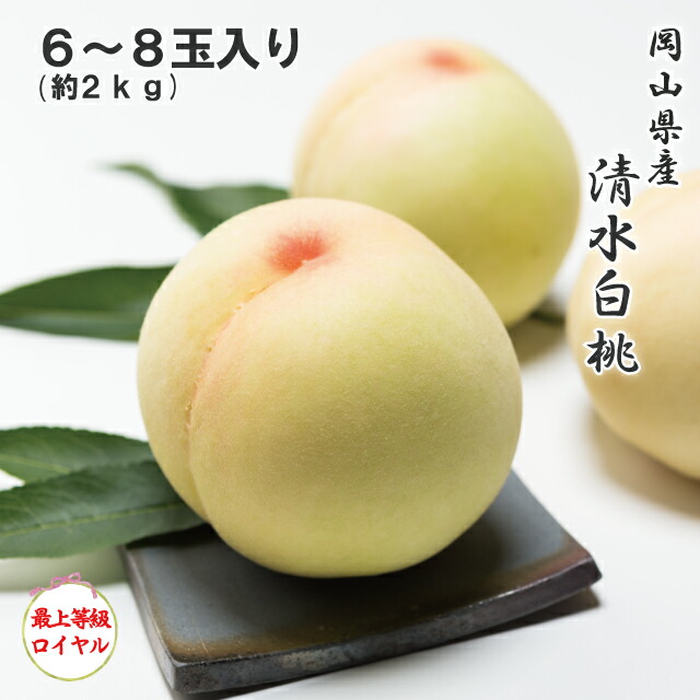 2026 お中元 岡山県産 清水白桃 7~9玉 約2kg 最上等級 ロイヤル 光センサー選果 化粧箱入り 桃 フルーツ 白桃 ギフト プレゼント 7月中旬頃より発送|水琴果楼 店