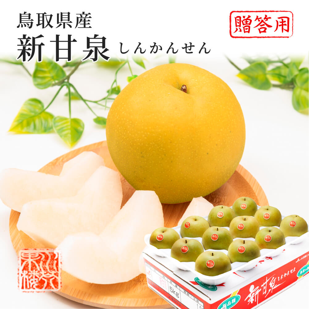 鳥取産新甘泉梨青秀18玉5kg✖️２箱セット！ 梨 5kg クール便 送料無料 鳥取県産 新甘泉梨 秀品 18-22玉入 新