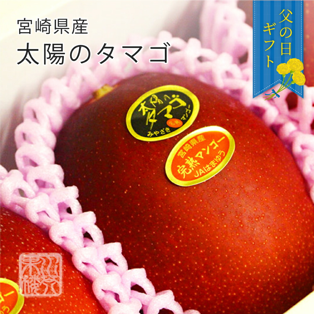 (6月9日～6月15日にお届け) 2025 メッセージカード付 宮崎県産 太陽のタマゴ 完熟マンゴー 太陽のたまご 化粧箱入 2L 2玉入 贈り物 プレゼント ギフト 父の日