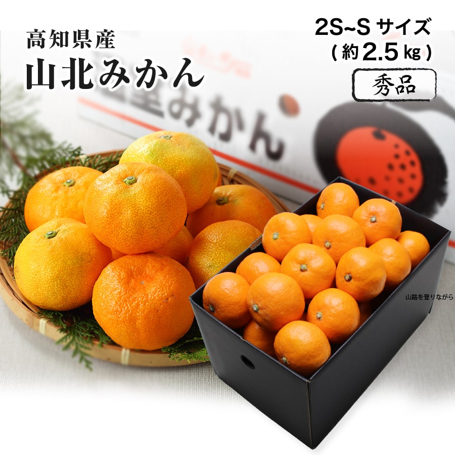 高知 ハウスみかん 約5kg 3S 山北 温室 小粒みかん 楽天市場】ハウスみかん 山北みかん (約5kg) 高知産 山北温室