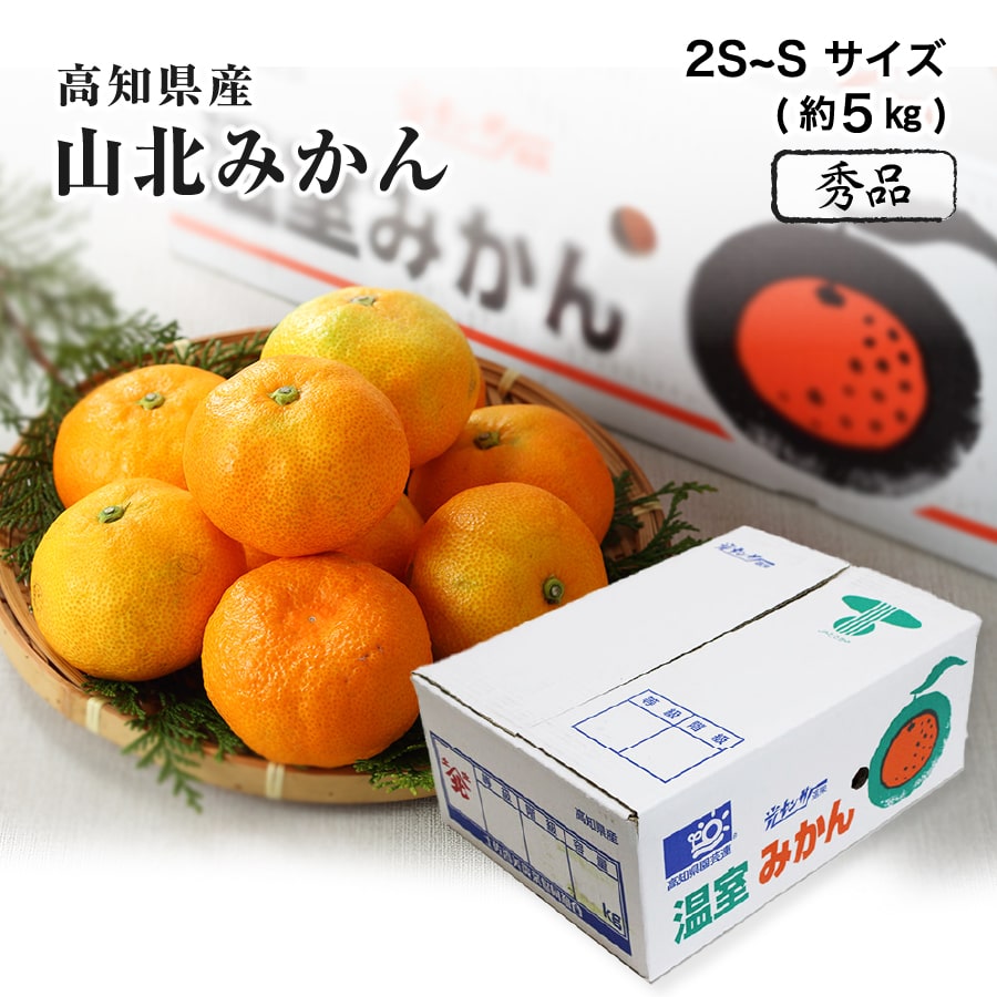 高知県産 山北温室みかん 温州みかん 秀品 2S～Sサイズ 5kg みかん 夏 フルーツ 5月下旬ごろより発送｜水琴果楼　店