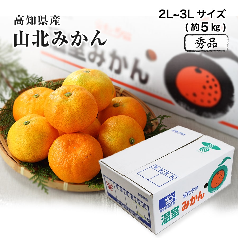 みかん&チェリー 楽天市場】みかん 小夏 こなつ 秀品 大きさおまかせ 2.5kg 高知