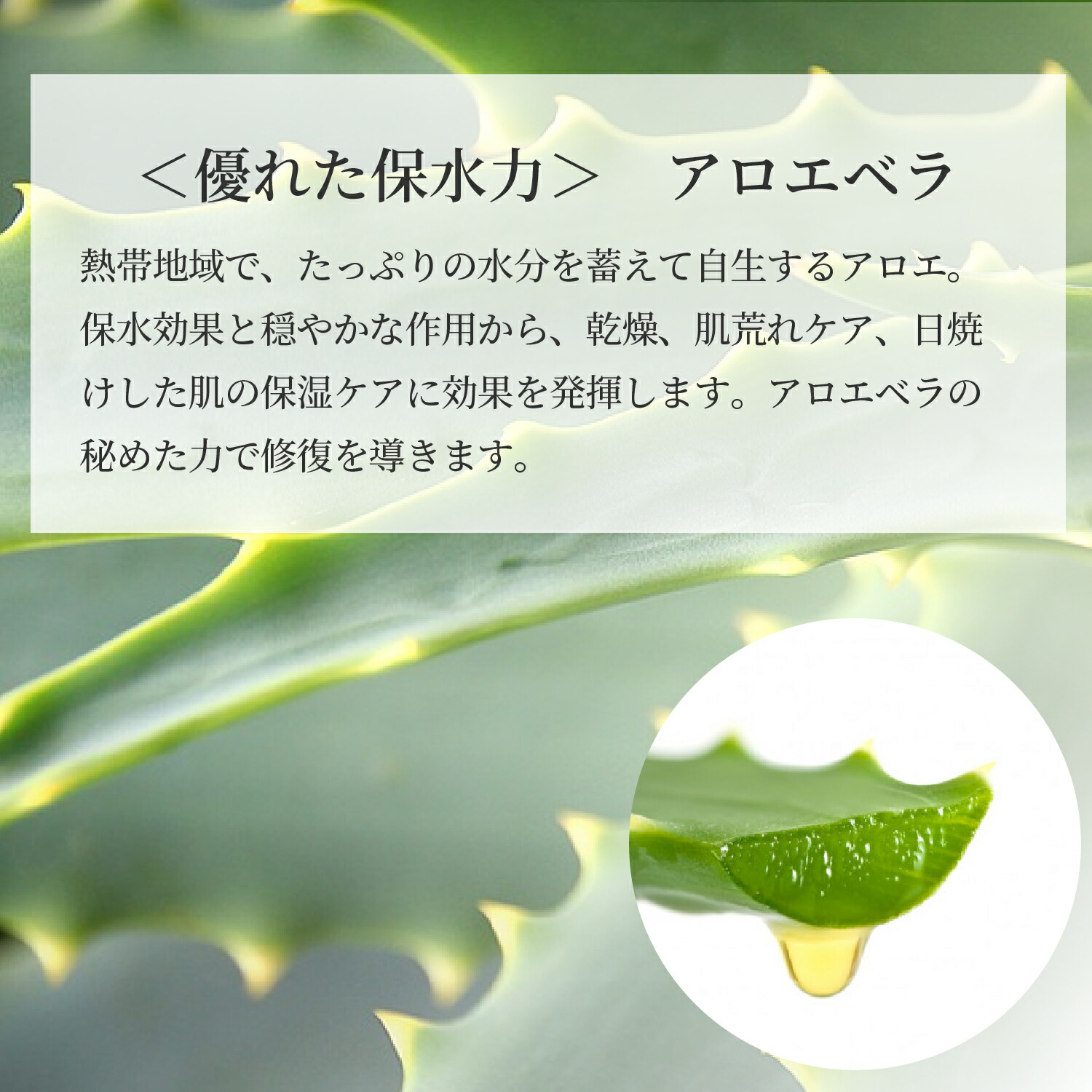 楽天市場 Repairmist リペアミスト フェイスミスト フルボ酸 アロエベラ ローズ 保湿 乾燥肌 肌の調整機能を整える うるおい肌を 水素ラボストア