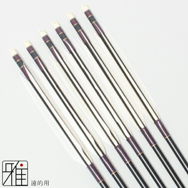 弓矢戦士軍団　　(掛け軸) 楽天市場】弓道 矢 ジュラルミン矢 6本組遠的矢 ホワイトグース 1813