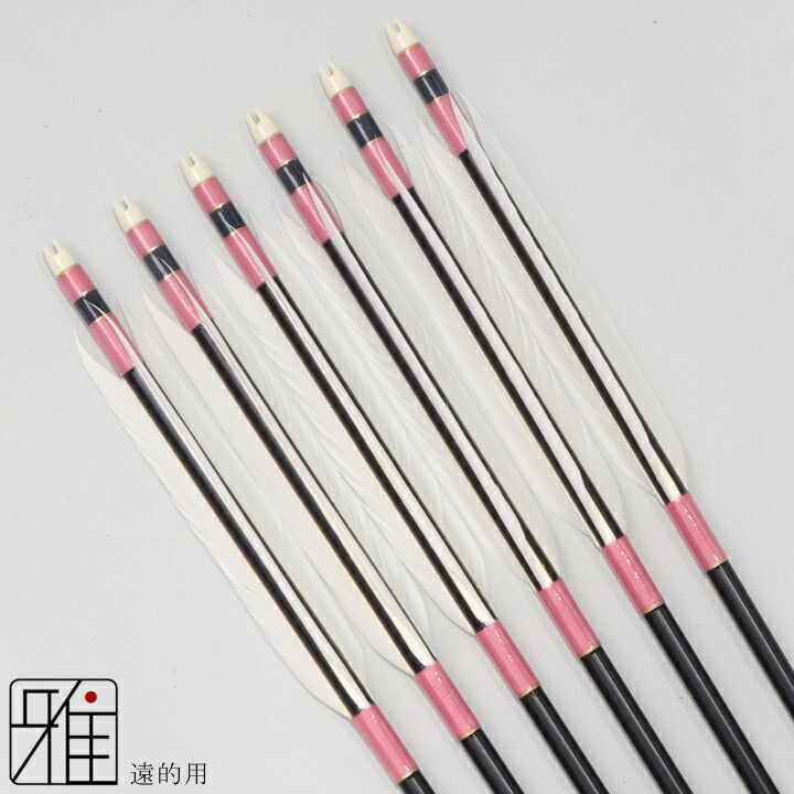 楽天市場】弓道 矢 ジュラルミン矢 6本組遠的矢 ホワイトグース 1913