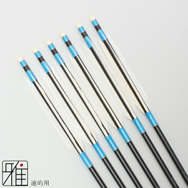 楽天市場】弓道 矢 ジュラルミン矢 6本組遠的矢 ホワイトグース 1913